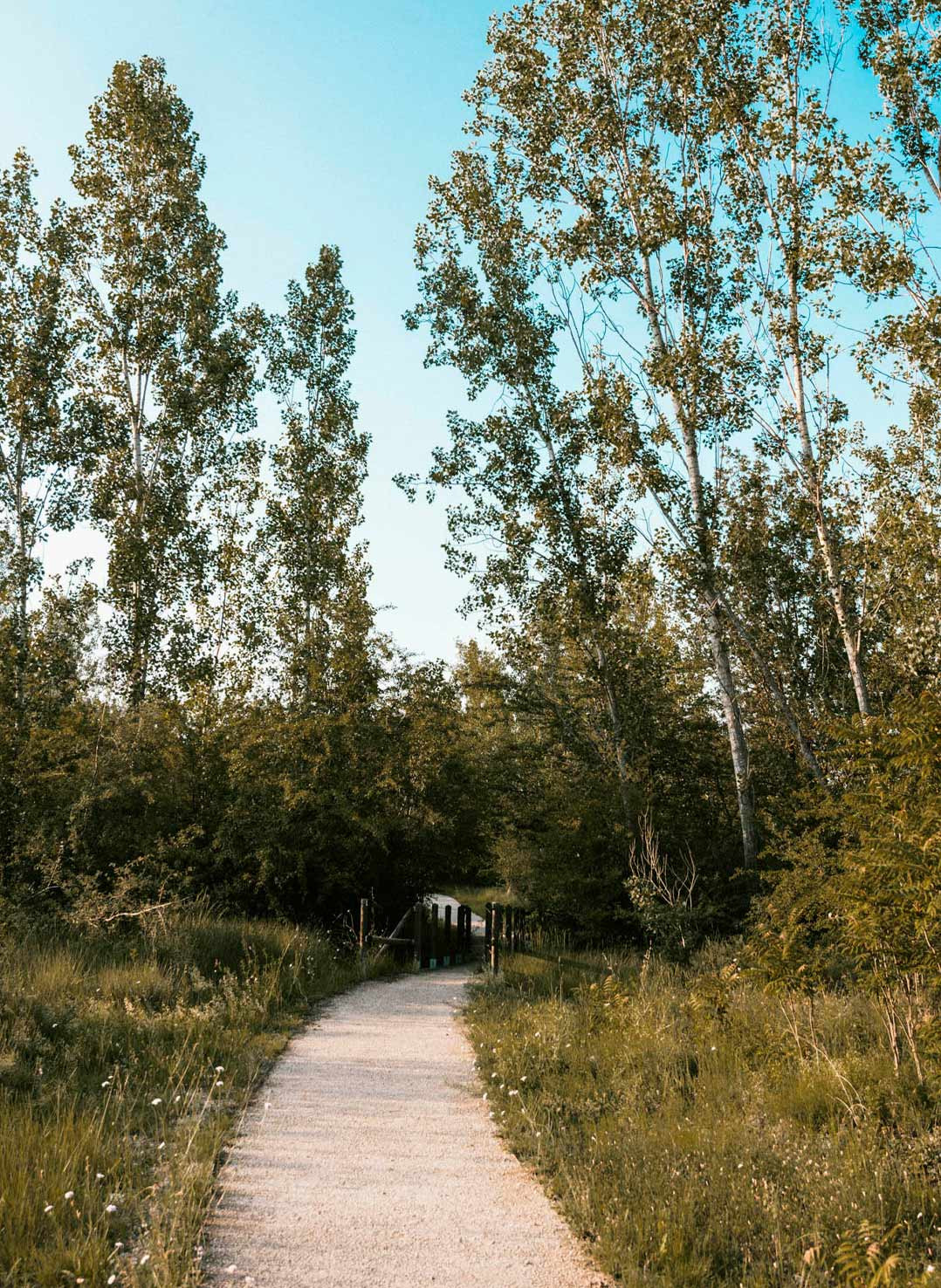 68